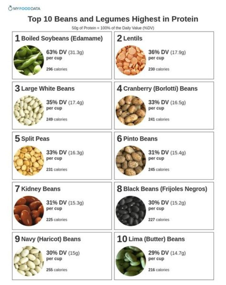 Are baked beans considered a protein?