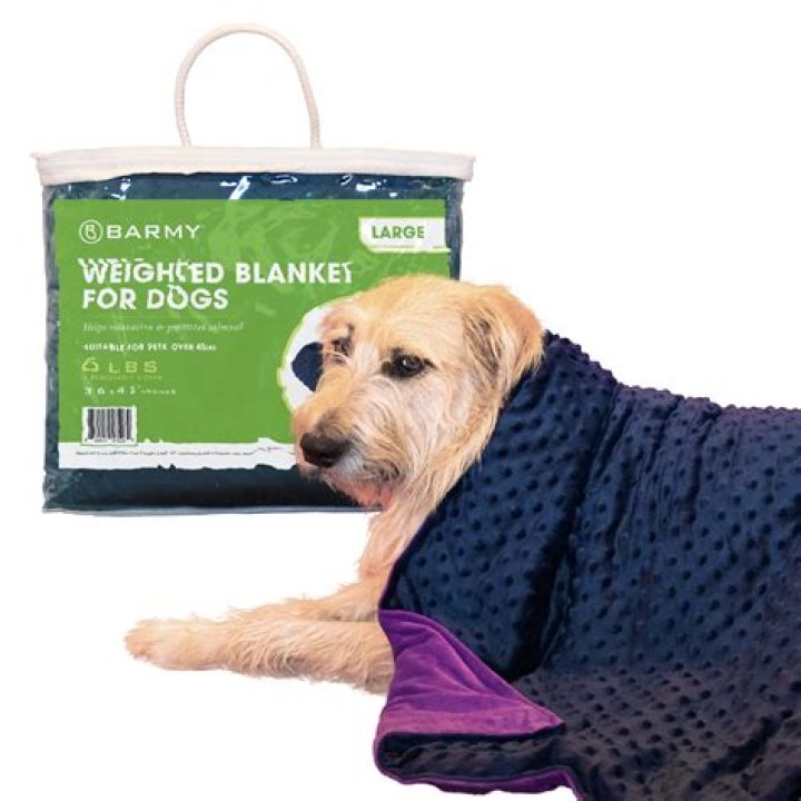 Are blankets good for dogs?