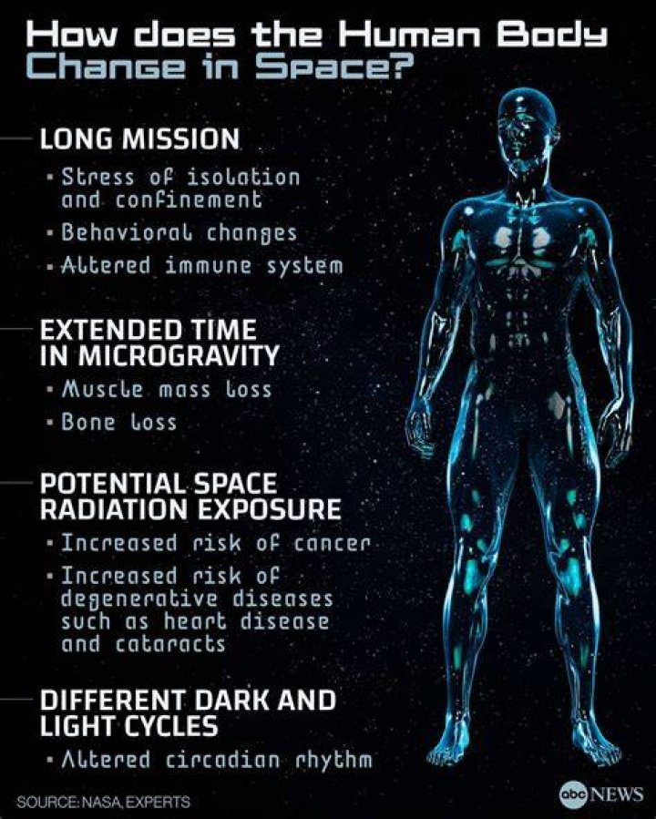 Are there human bodies in space?