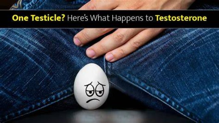 Can a man with one testicle have babies?