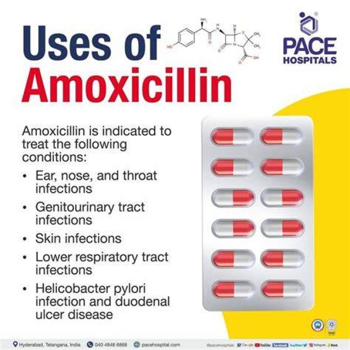 Can amoxicillin treat TB?