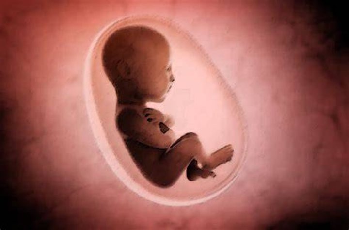 Can babies feel hunger in the womb?