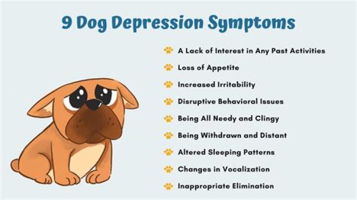 Can dogs tell if you are sad?