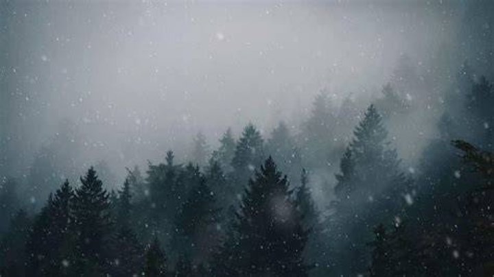 Can it snow in a rain forest?