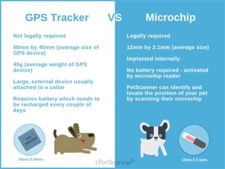 Can microchip be tracked?