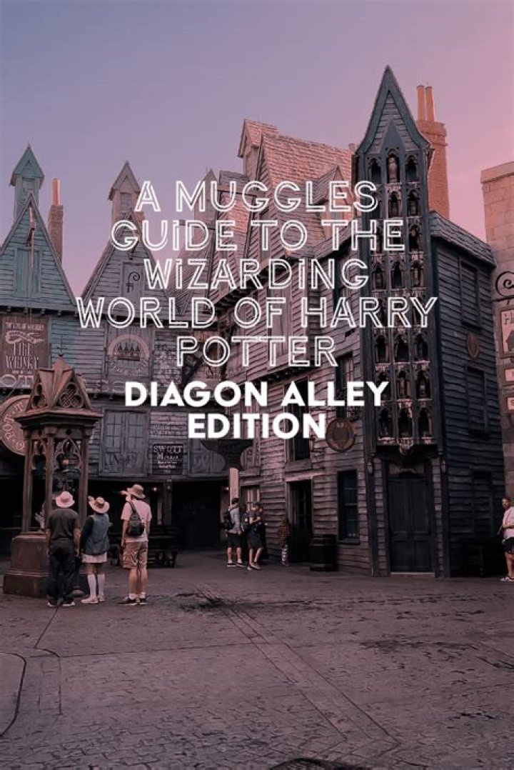Can Muggles go to Diagon Alley?