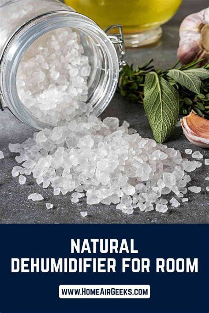 Can salt dehumidify a room?