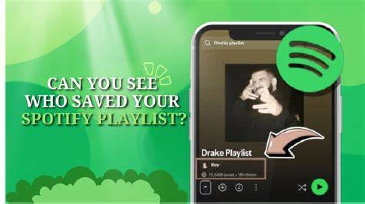 Can someone see private playlist if they liked it?