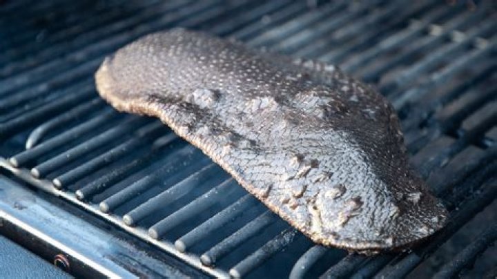 Can you eat beaver meat?