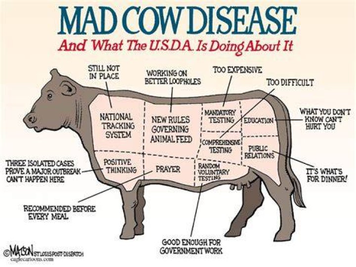 Can you get mad cow disease from eating beef?
