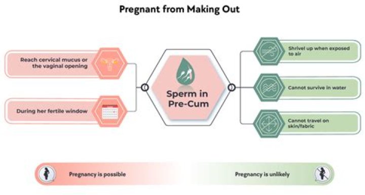 Can you get pregnant without sperm being released?