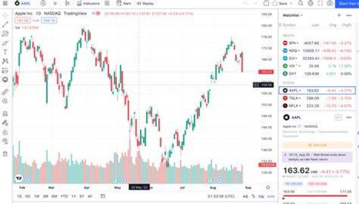 Can you get rich with stocks?