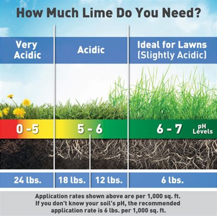 Can you put lime and fertilizer on your lawn at the same time?