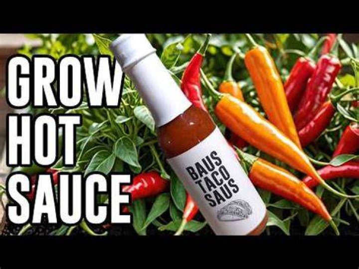 Can you spray hot sauce on plants?