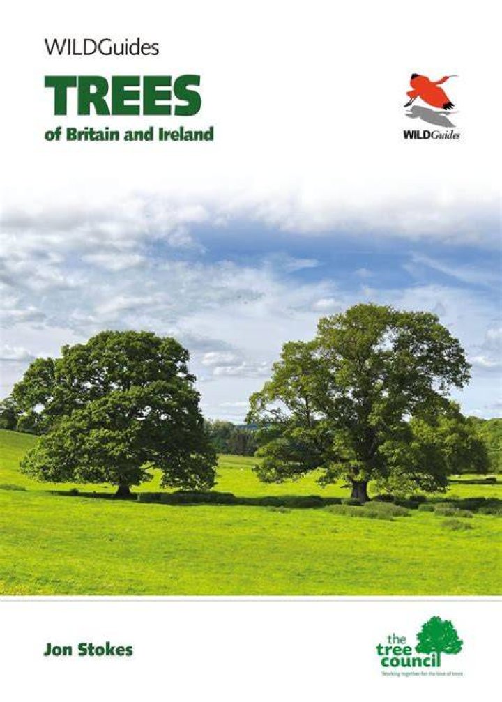 Did Ireland used to have trees?