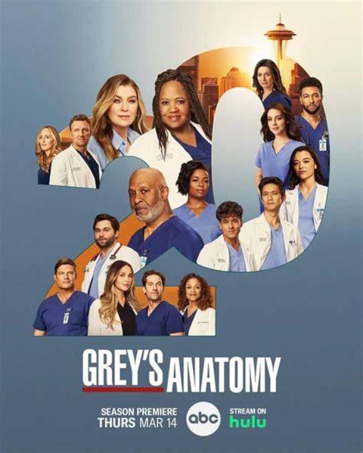 Did Netflix remove GREY's Anatomy 2022?