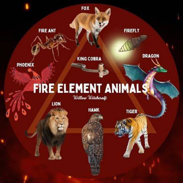 Do any animals create fire?