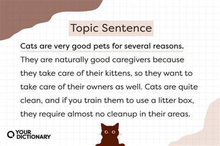 Do your best example sentence?
