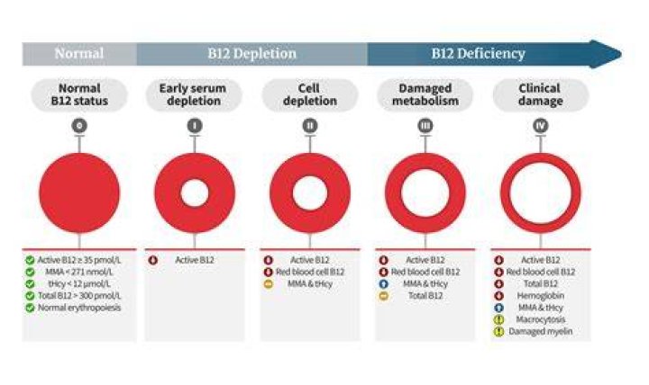 Does B12 affect thyroid levels?