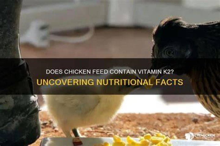 Does chicken have vitamin K2?