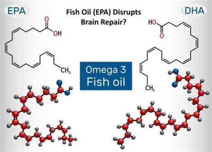 Does fish oil heal the brain?