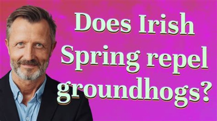 Does Irish Spring repel groundhogs?