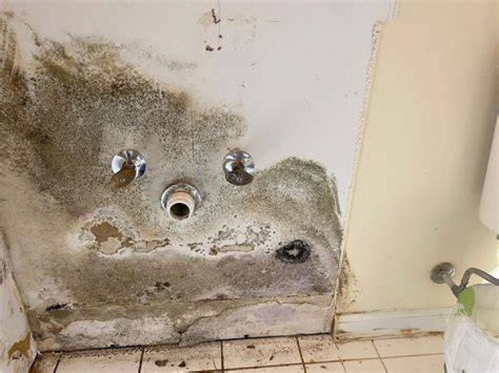 Does opening a window help with mold?