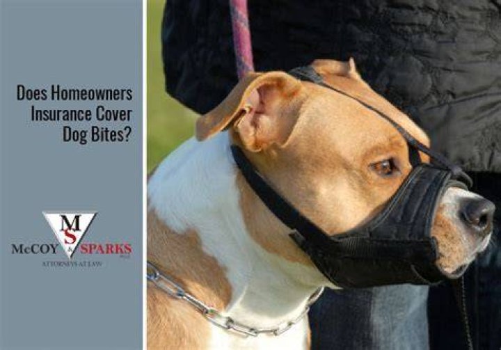 Does umbrella insurance cover dog bites?