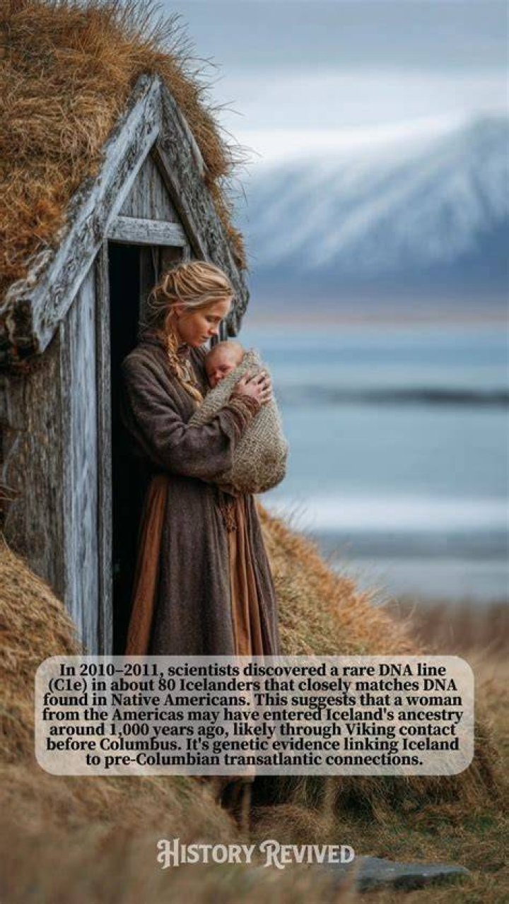 How did Vikings prevent pregnancy?