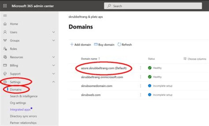 How do I find my domain name?