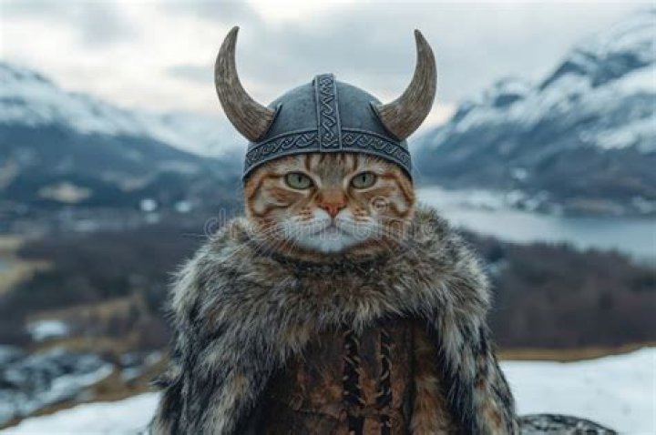 How do you say cat in Viking?