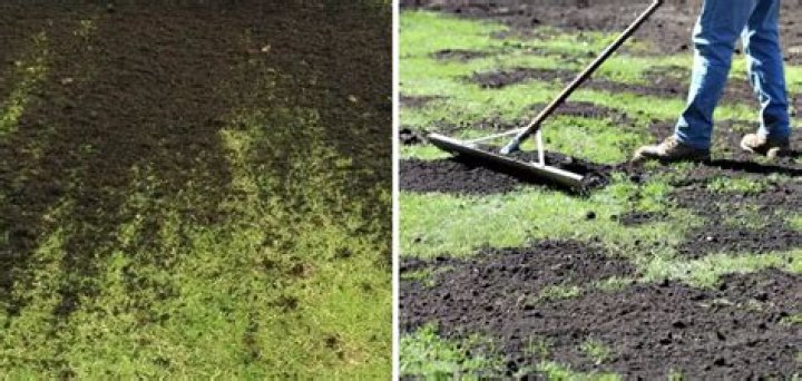 How do you spread topsoil over existing grass?