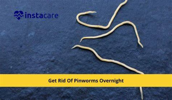 How long do pinworms last if not treated?