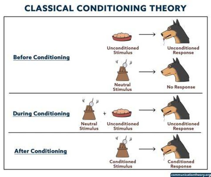How long does classical conditioning last?
