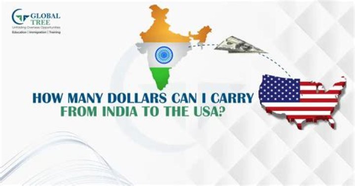 How many dollars can a US citizen carry to USA?