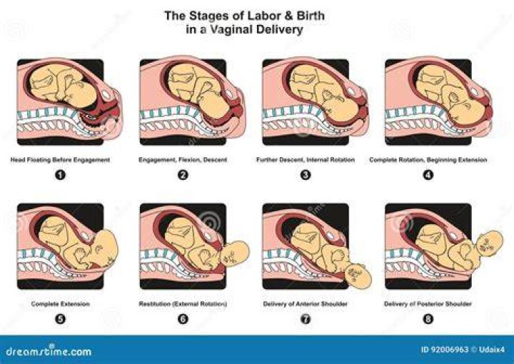 How many hours does Labour take before delivery?