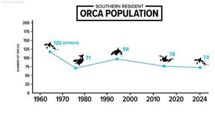 How many orcas are left in the world 2021?