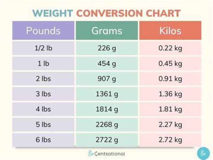 How many pounds is a uterus?