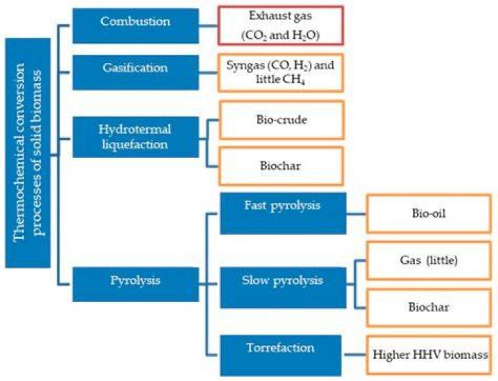How many types of basic organic decomposition occur in biomass energy conversion?