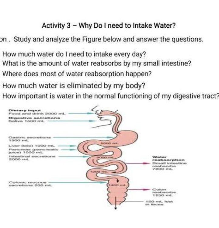 How much water do worms need?