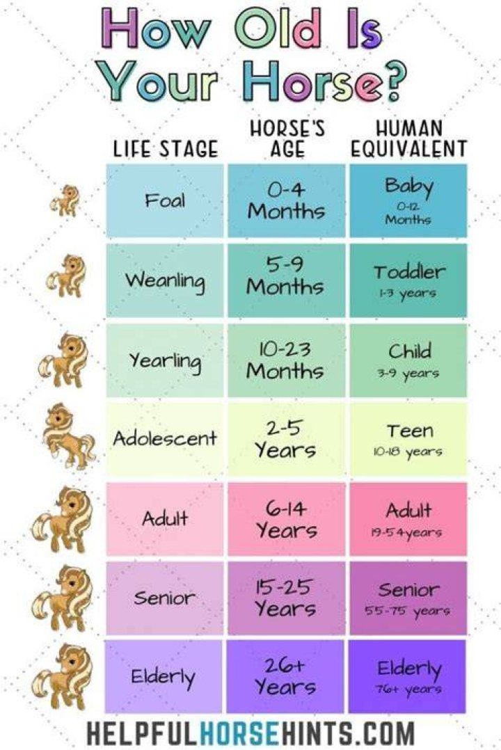 How old do horses live to be?