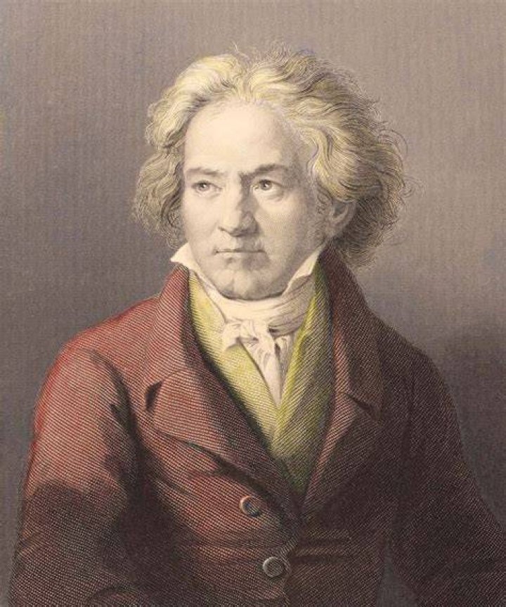 How old is Ludwig?