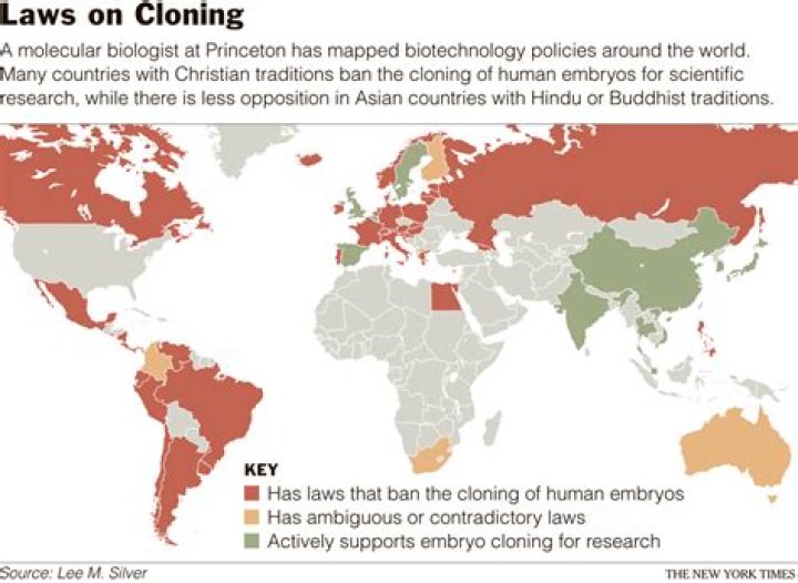 Is human cloning illegal?