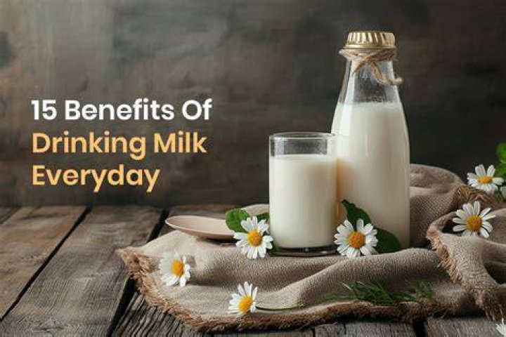 Is it good to drink milk everyday for adults?