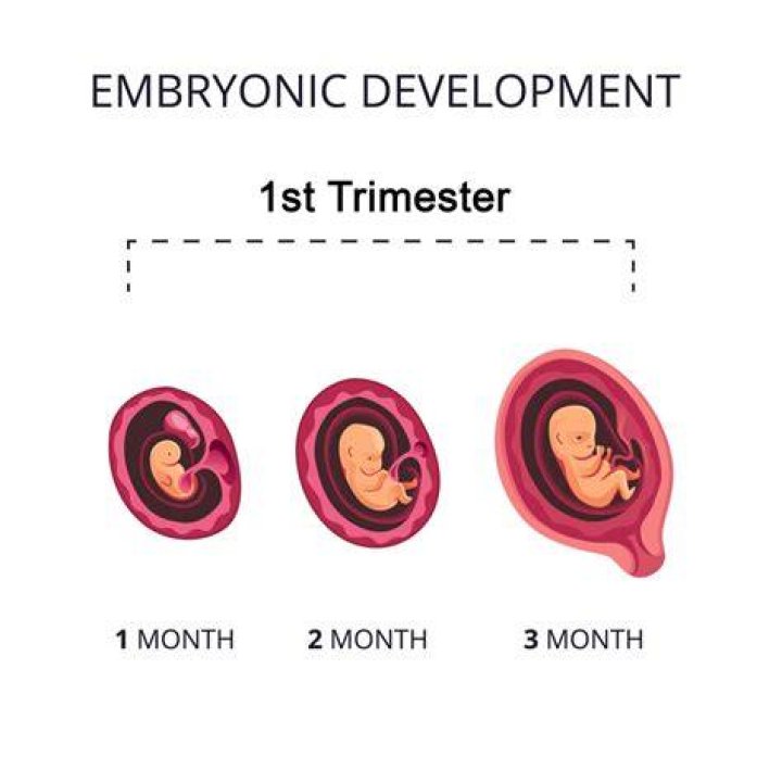 Is it OK to walk a lot during first trimester?