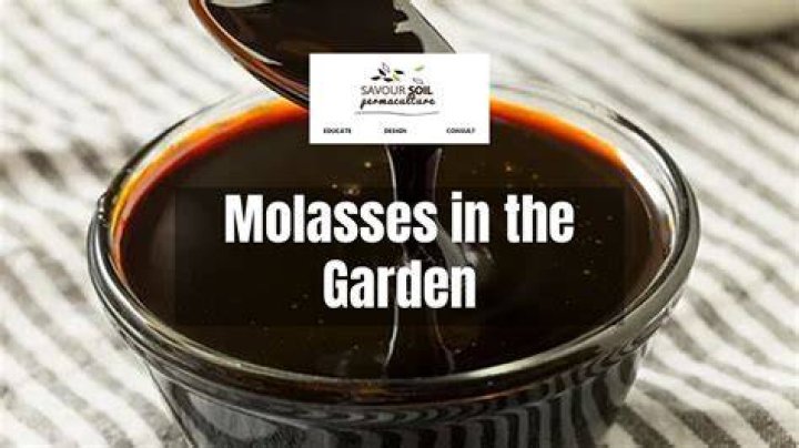 Is molasses good for the soil?