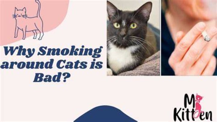 Is smoking around cats bad?