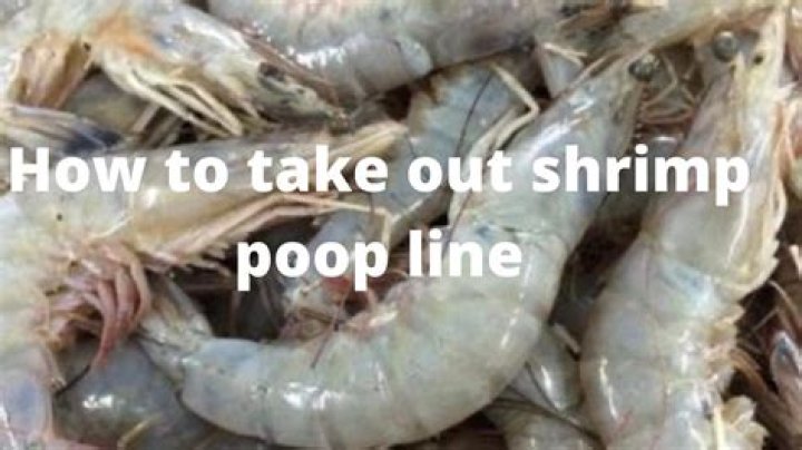 Is the black line in shrimp poop?
