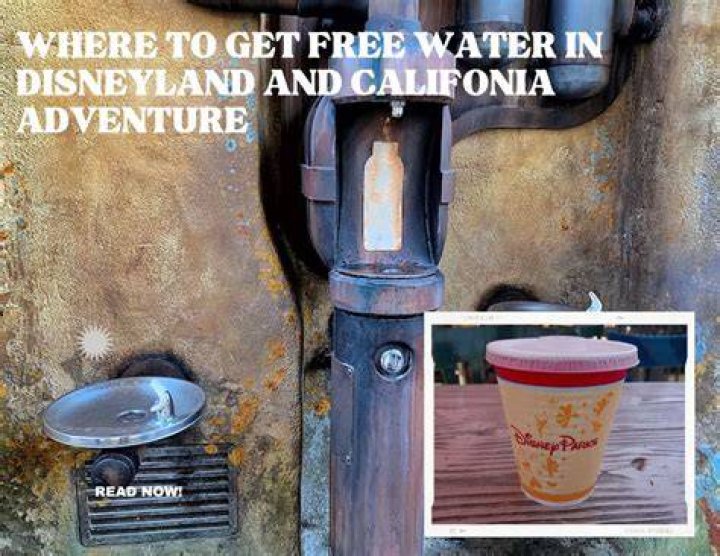 Is water free at Disneyland?