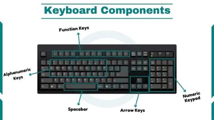 What are the 5 main functions of keyboard?